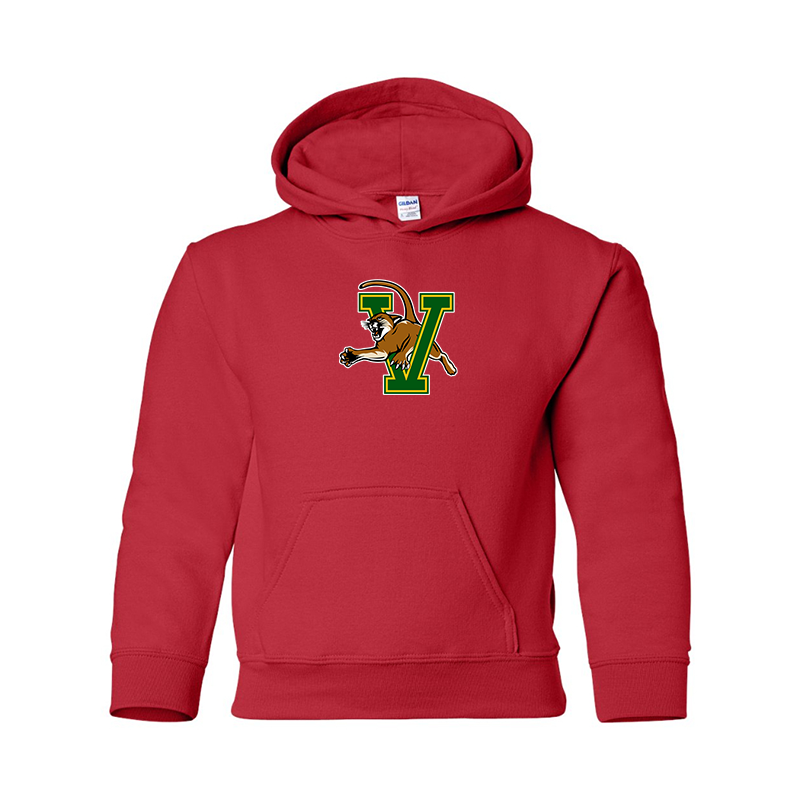 Youth Vermont Catamounts Gildan Heavy Blend  Hooded Sweatshirt